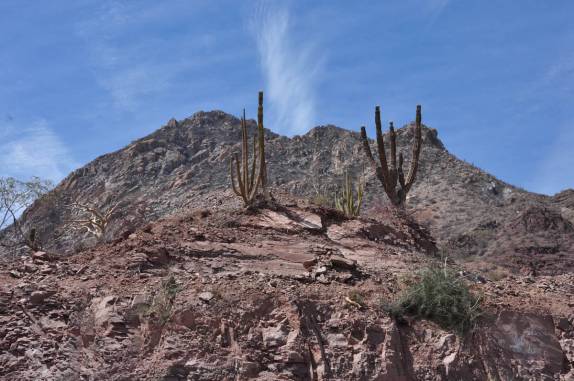 Terreno desértico a caminho da missão San Francisco Xavier, região de Loreto, na Baja California - México